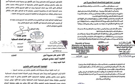 السلطة المحلية بمديرية أحور توضح بخصوص ساحة حراج الأسماك في منطقة البندر