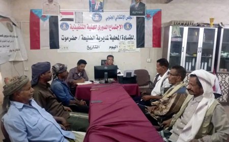 تنفيذية انتقالي الضليعة تؤكد أن التفاعل مع هموم المواطنين أولوية المرحلة القادمة