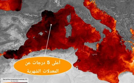 موجة حر بحرية غير مسبوقة في المتوسط تهدد التنوع البيولوجي وتغذي الظواهر المتطرفة