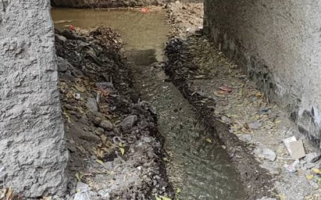 طفح المجاري بشوارع القلوعة ومخاوف من انتشار الاوبئة