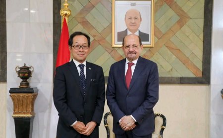 وزير الخارجية يبحث مع السفير الياباني تعزيز التعاون في المجالات التنموية والاقتصادية والإنسانية