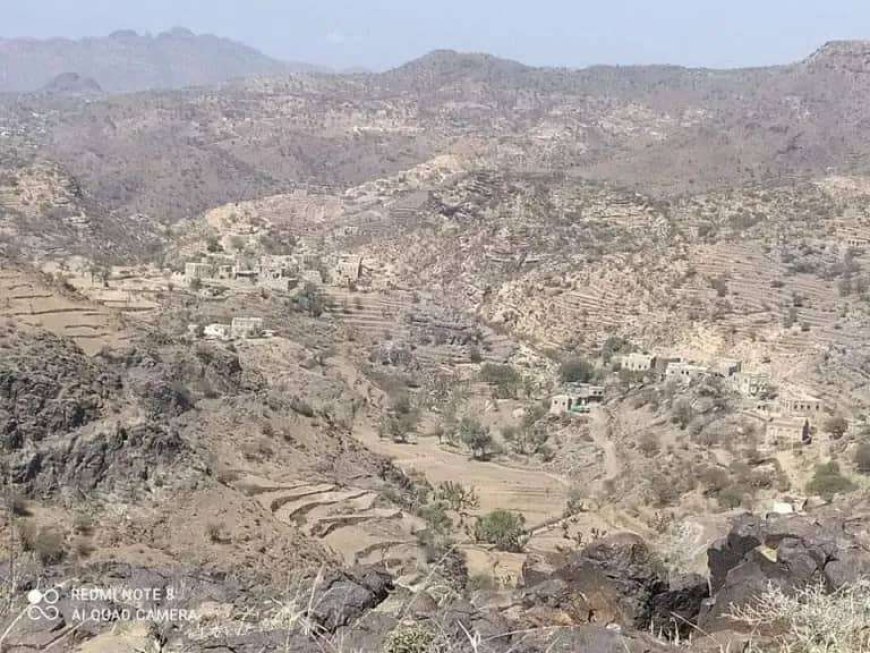محاولة ذبح مواطن في تعز.. تفاصيل