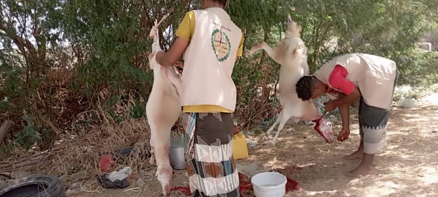 ضمن مشروع "وافعلوا الخير".. منتدى أحور يدشن توزيع لحوم الأضاحي للأسر الفقيرة والمحتاجة