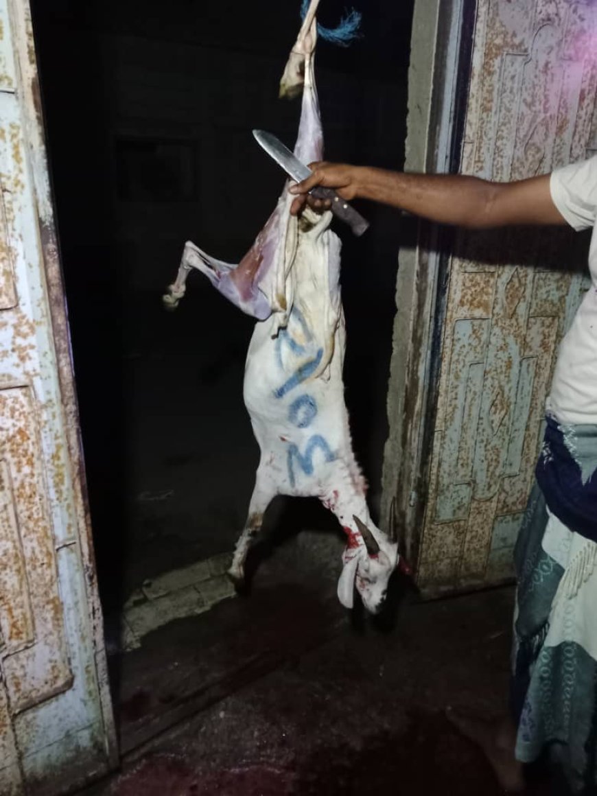 مؤسسة أبين للتنمية تنفذ مشروع توزيع لحوم الأضاحي بدعم من اتحاد الجمعيات والمؤسسات الخيرية والتنموية في المحافظات المحررة