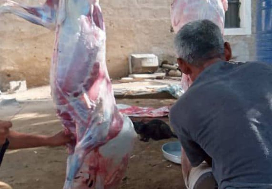 مؤسسة باقادر توزع لحوم الأضاحي لـ50 أسرة في خنفر بدعم من فاعلي الخير وبشراكة مع اتحاد جمعيات عدن