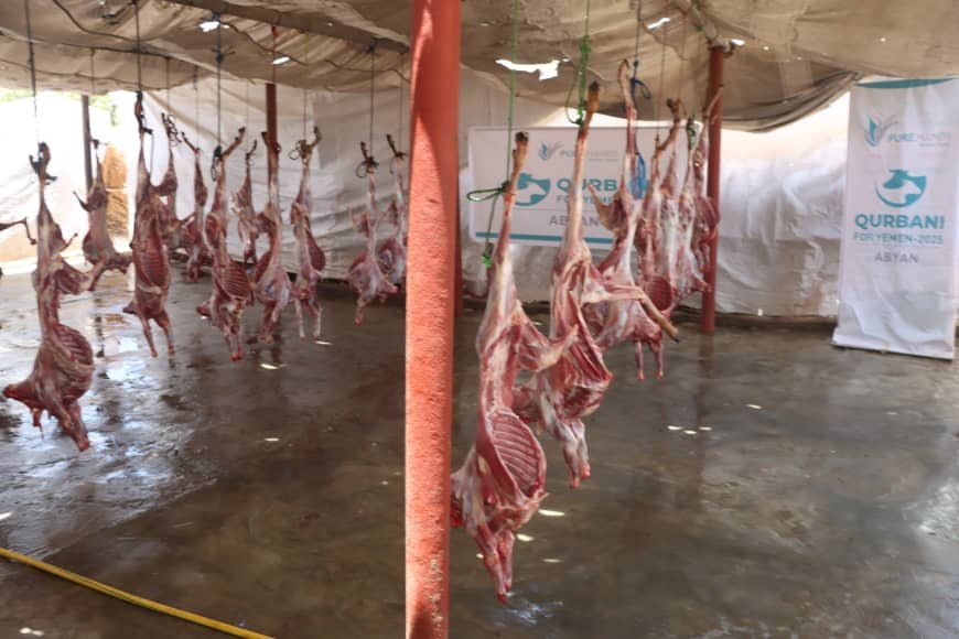 مؤسسة بلقيس للنماء والتطوير تختتم مشروع الأضاحي 1446هـ بمحافظة أبين