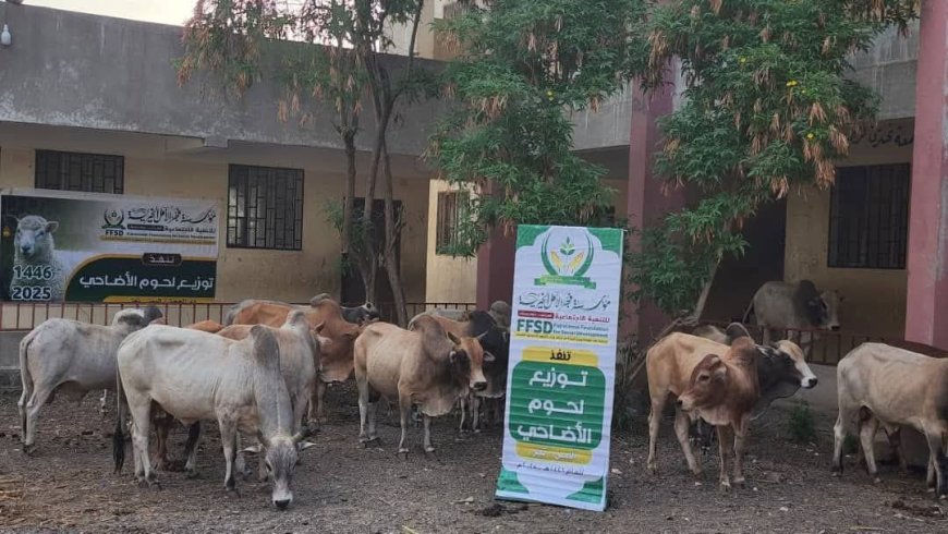 استهدفت 1700 أسرة.. فجر الأمل تختتم توزيع لحوم الأضاحي في محافظة تعز