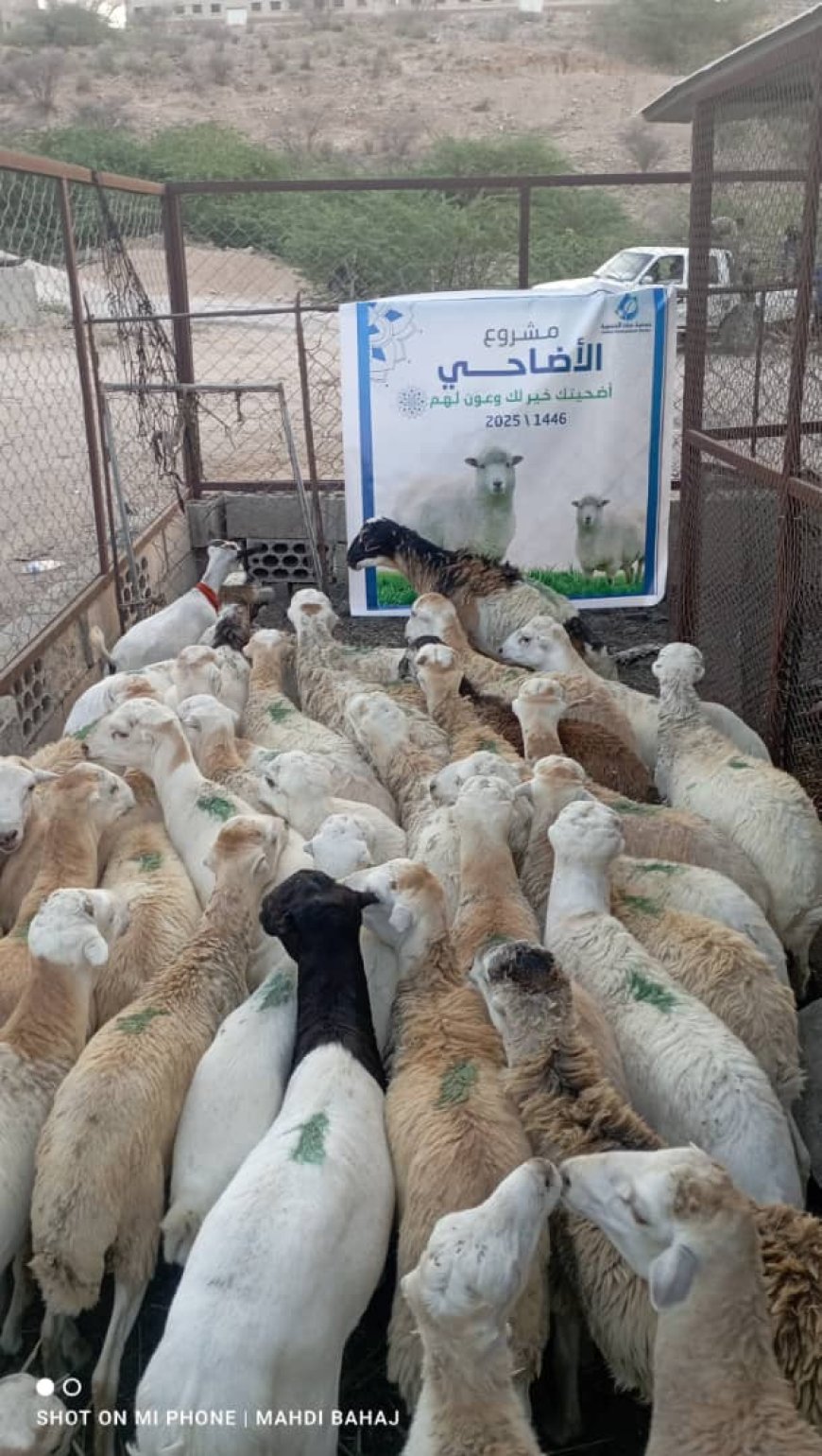 جمعية حبان التنموية تنفذ مشروع توزيع لحوم الأضاحي ل 2000 مستفيد من الأسر المحتاجة والفقيرة بمديرية حبان