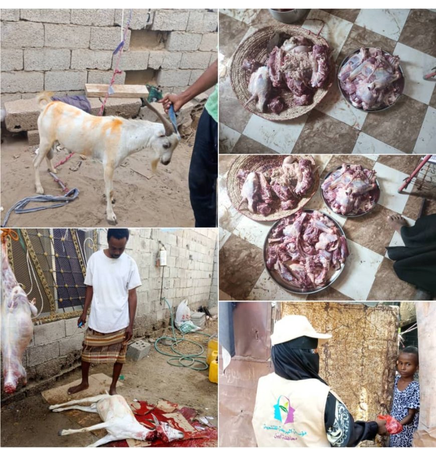 أبين : بدعم من اتحاد الجمعيات والمؤسسات مؤسسة البركة توزع لحوم الاضاحي على الاسر الفقيرة والمعدمة في الكود