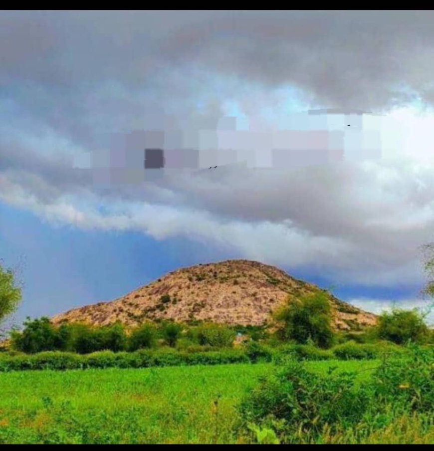 قيادات عسكرية وأمنية كبيرة من وزارتي الدفاع والداخلية تحتفي بزواج نجل العميد علي الظبي