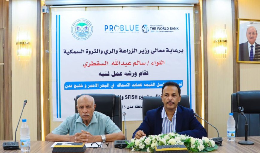 برعاية الوزير السقطري: ورشة عمل فنية لدراسة سلاسل القيمة لمصائد الأسماك في البحر الأحمر وخليج عدن