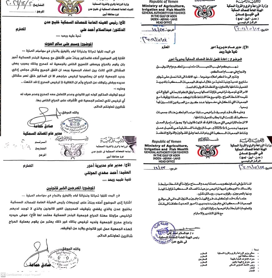 السلطة المحلية بمديرية أحور توضح بخصوص ساحة حراج الأسماك في منطقة البندر