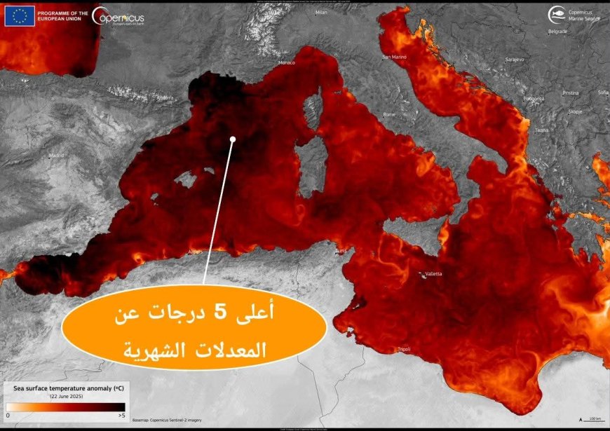 موجة حر بحرية غير مسبوقة في المتوسط تهدد التنوع البيولوجي وتغذي الظواهر المتطرفة