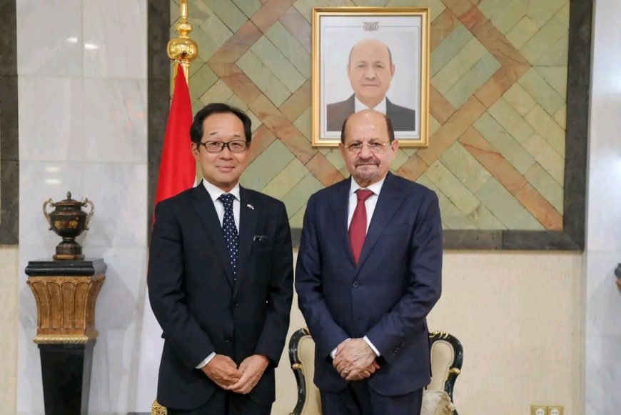 وزير الخارجية يبحث مع السفير الياباني تعزيز التعاون في المجالات التنموية والاقتصادية والإنسانية