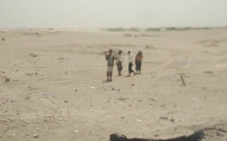 مكتب الأوقاف بأبين ينفذ نزولًا ميدانيًا إلى أرض الوقف في منطقة الكود ويُحذّر المعتدين