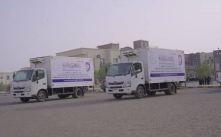 تعز.. برعاية طارق صالح دعم طبي جديد لمواجهة الكوليرا والحُميات في ذو باب المندب