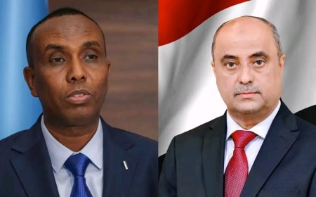 رئيس الوزراء يهنئ نظيره الصومالي بذكرى الاستقلال