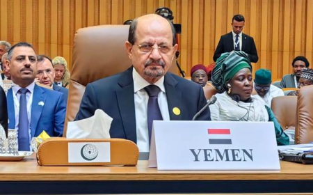 ضمن خطة إصلاح شاملة.. وزارة الخارجية تعيين 70 دبلوماسيًا جديدًا في بعثاتها الخارجية