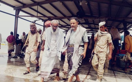 رئيس تنفيذية انتقالي أبين يزور شقرة ويطلع على أوضاع الجمعيات السمكية ومستشفى المدينة