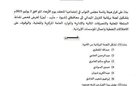 هيئة رئاسة مجلس النواب تصدر قرارات بتشكيل لجان برلمانية للنزول الميداني