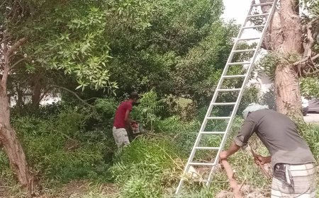 مستشفى الصداقة بعدن يعيد تأهيل محيطه لخدمة المرضى