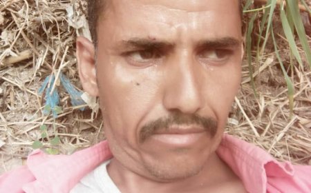 كلاب مسعورة تهاجم مواطنين في تورصة بالضالع وتصيب اثنين بجروح خطيرة