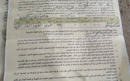 عصابات نهب تطال أراضي الدولة بمدينة حيس ومناشدات بالتدخل العاجل