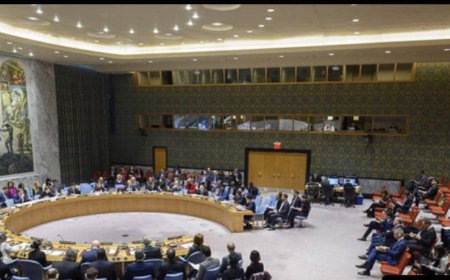 سمر اليافعي تلقي خطابًا هامًا في مجلس الأمن الدولي مساء اليوم