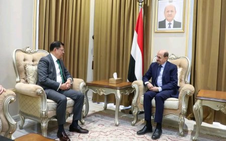 وزير الخارجية يلتقي السفير المكسيكي بمناسبة انتهاء فترة عمله