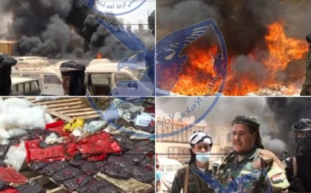 إدارة مكافحة المخدرات بلحج تضرب أوكار التهريب.. والكميات التي تم إحراقها تجسد نتائج الجهود للحملة المشتركة