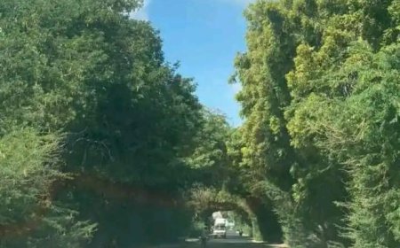 خطيب الجمعة بمسجد جنيد يؤكد: "المعلم هو أساس الأمة وتهميشه تدمير للمستقبل"