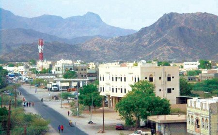 رئيس تنفيذية انتقالي أبين يلتقي السلطة المحلية في مديرية مودية لمناقشة الأوضاع الخدمية والأمنية