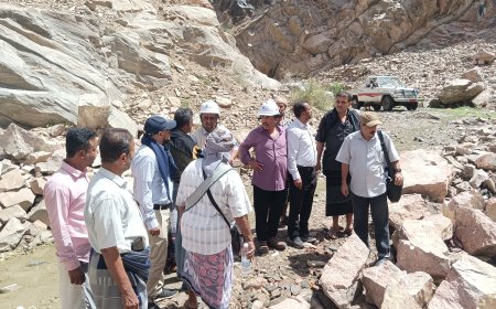 بتمويل دولي.. السلطة المحلية بيافع سرار والصندوق الاجتماعي يسلمان مشروع بناء حاجز مائي للجهة المنفذة