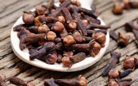مضغ حبة واحدة من القرنفل فى الصباح يعزز صحتك.. لهذه الأسباب