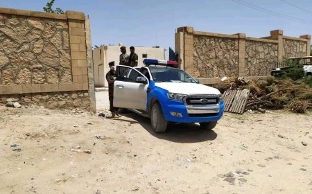 الأجهزة الأمنية بوادي حضرموت تنفذ حملة أمنية في مديرية القطن وتضبط أحد المتهمين الرئيسيين في قضية قتل