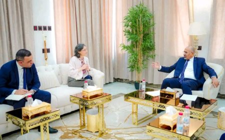 الرئيس الزُبيدي يبحث مع سفيرة فرنسا تطورات المشهد السياسي والاقتصادي في البلاد