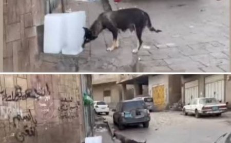 الكشف عن كارثة خطيرة في محافظة تعز