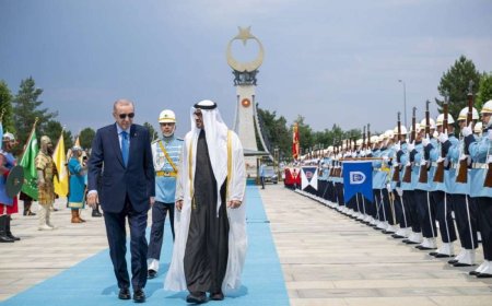 محمد بن زايد يؤكد حرص الإمارات على التعاون مع تركيا لترسيخ السلام والاستقرار في المنطقة