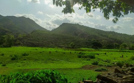 تعز: وباء الكوليرا يهدد حياة سكان عزلة "عدينة" وسط غياب الخدمات الصحية