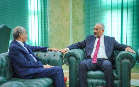 الرئيس الزُبيدي يُناقش مع الفريق الصبيحي تطورات الأوضاع العسكرية والأمنية في المحافظات المحررة