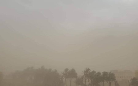 الأمين العام للمجلس المحلي بحضرموت يتابع مستجدات الحالة الجوية ويشدّد على رفع الجاهزية