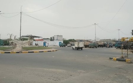 حملة لإزالة بائعي المواشي تعيد الانسيابية لجولة البادية بزنجبار