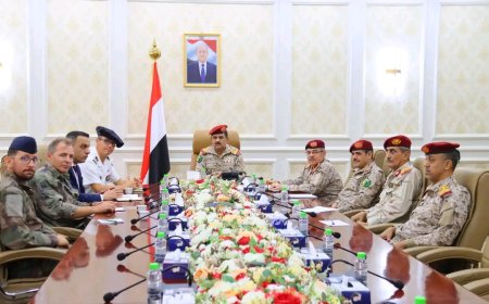 وزير الدفاع يبحث مع الملحق الفرنسي مستجدات الأوضاع الميدانية