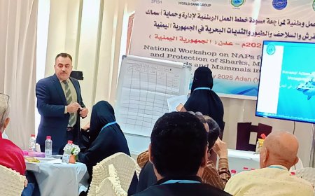 اليوم الثاني على التوالي:  ورشة العمل الوطنية لمراجعة خطط العمل الوطنية لإدارة وحماية أسماك القرش والسلاحف الثديات البحرية.