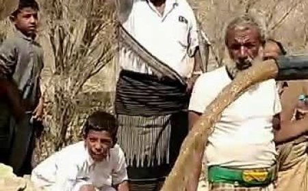 برعاية دولة رئيس الوزراء ومحافظ شبوة.. تشغيل البئر الارتوازي بقرية الثجة في مديرية عرماء