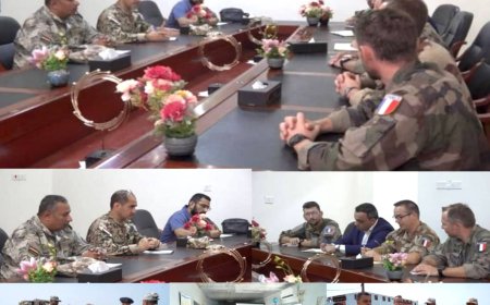 وفد عسكري فرنسي يزور المخا لبحث تعزيز الأمن البحري ومكافحة التهريب