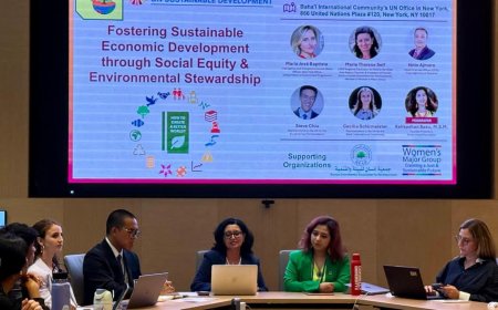 جمعية إنسان للبيئة والتنمية ( HEAD) تشارك في الفعالية الاممية تعزيز التنمية الاقتصادية المستدامة من خلال العدالة الاجتماعية والإشراف البيئي.