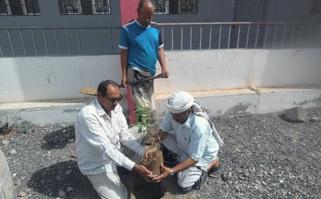 مدرسة الفقيد القطيبي تزرع الأمل.. مبادرة بيئية تربوية تجسد الوفاء وتبعث الحياة