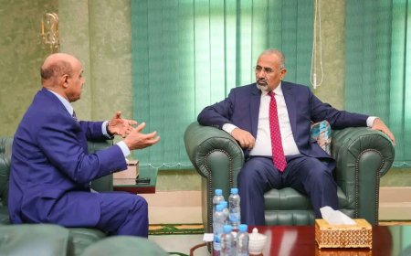 الرئيس الزُبيدي يطّلع على إجراءات البنك المركزي لضبط القطاع المالي والمصرفي