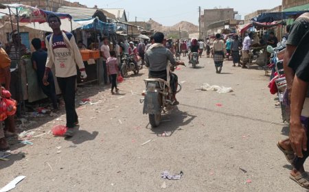 رئيس القسم الاقتصادي والخدمي بانتقالي الوضيع يطّلع على سير أعمال النظافة بالمديرية